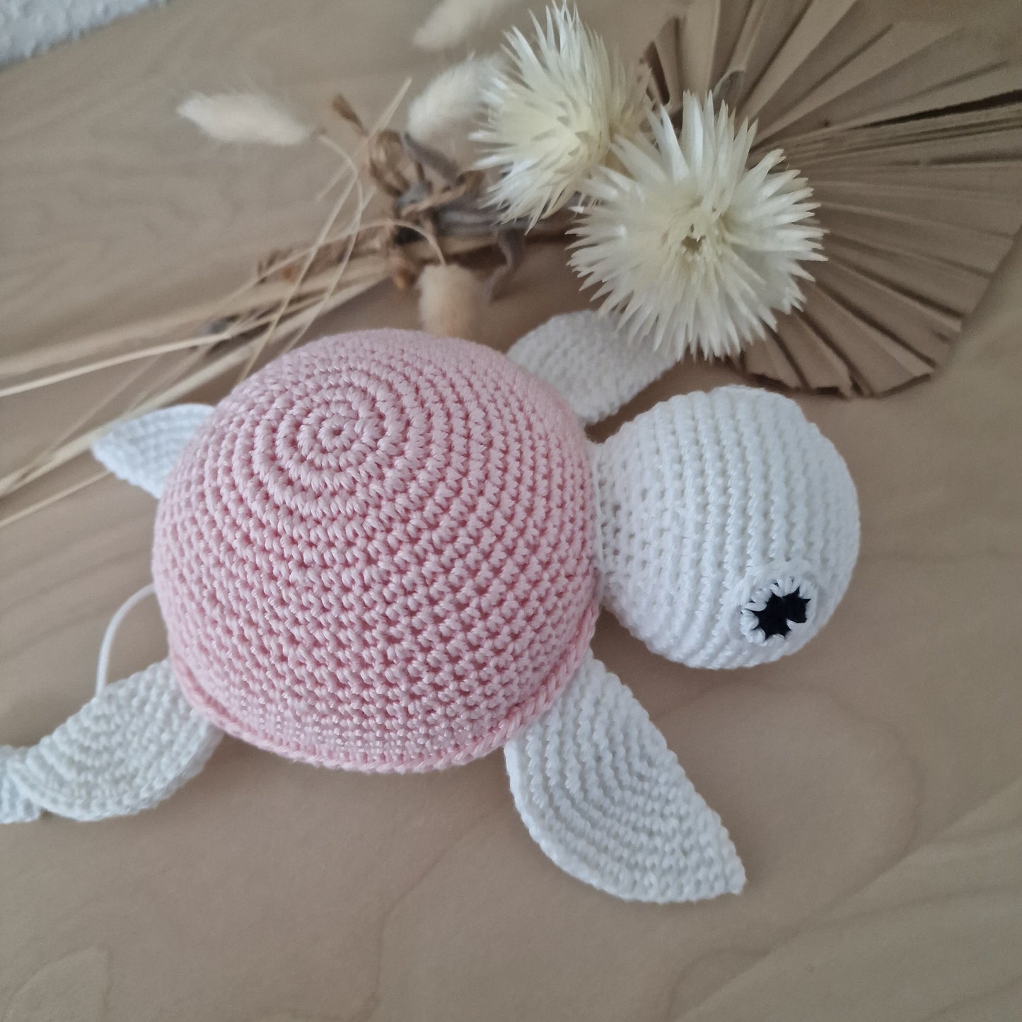 Boite à musique tortue